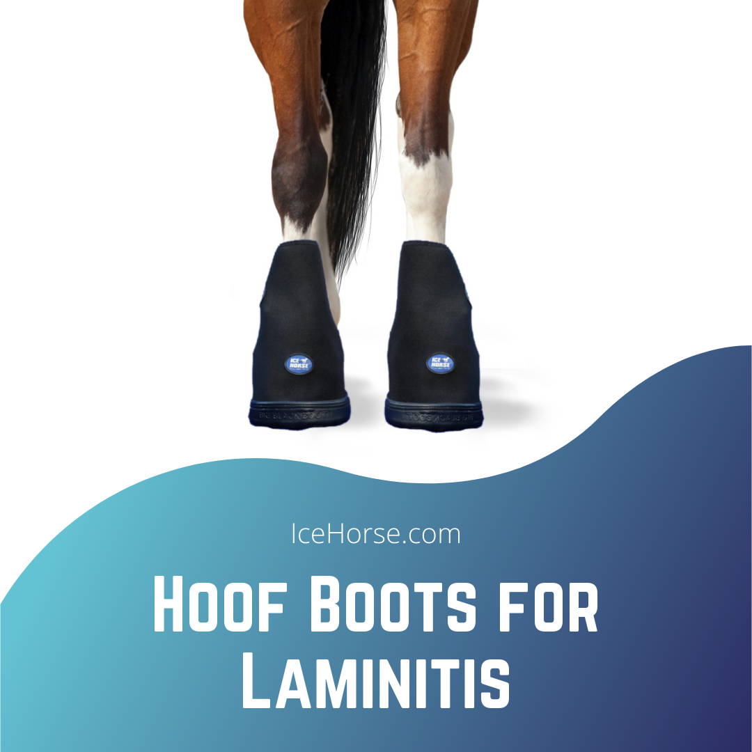Boots for foundered horses sales
